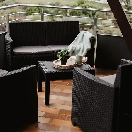 Best Stay Haus Martina Im Herzen Der Rhoen - 3 Einzelbuchbare Moderne Wohnungen Fuer 2-8 Personen, Terrasse, Balkon, Garten, Ski Und E-Bike Keller, Lounge, Freies Wlan, Familienfreundlich Poppenhausen Buitenkant foto