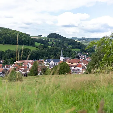Best Stay Haus Martina Im Herzen Der Rhoen - 3 Einzelbuchbare Moderne Wohnungen Fuer 2-8 Personen, Terrasse, Balkon, Garten, Ski Und E-Bike Keller, Lounge, Freies Wlan, Familienfreundlich Poppenhausen Buitenkant foto