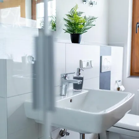 Best Stay Haus Martina Im Herzen Der Rhoen - 3 Einzelbuchbare Moderne Wohnungen Fuer 2-8 Personen, Terrasse, Balkon, Garten, Ski Und E-Bike Keller, Lounge, Freies Wlan, Familienfreundlich Poppenhausen Buitenkant foto