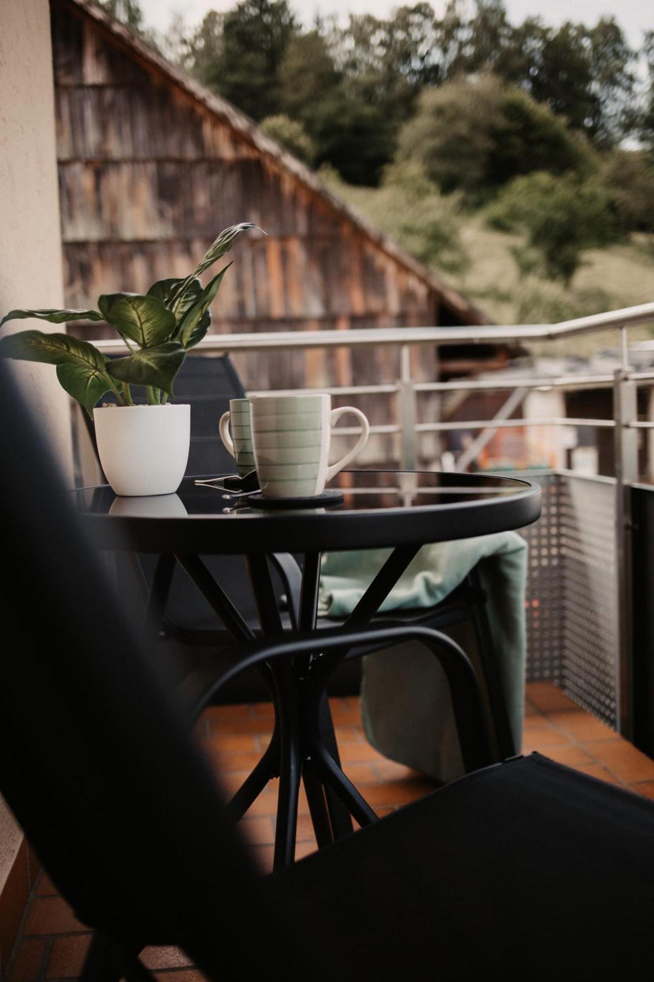 Haus Martina Im Herzen Der Rhoen - 3 Einzelbuchbare Moderne Fuer 2-8 Personen, Terrasse, Balkon, Garten, Und E-bike Keller, Lounge, Freies Wlan, Familienfreundlich * Poppenhausen